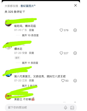 易鑫亮相钛媒体IT Value Summit  解码汽车金融全链路Agent智能革命